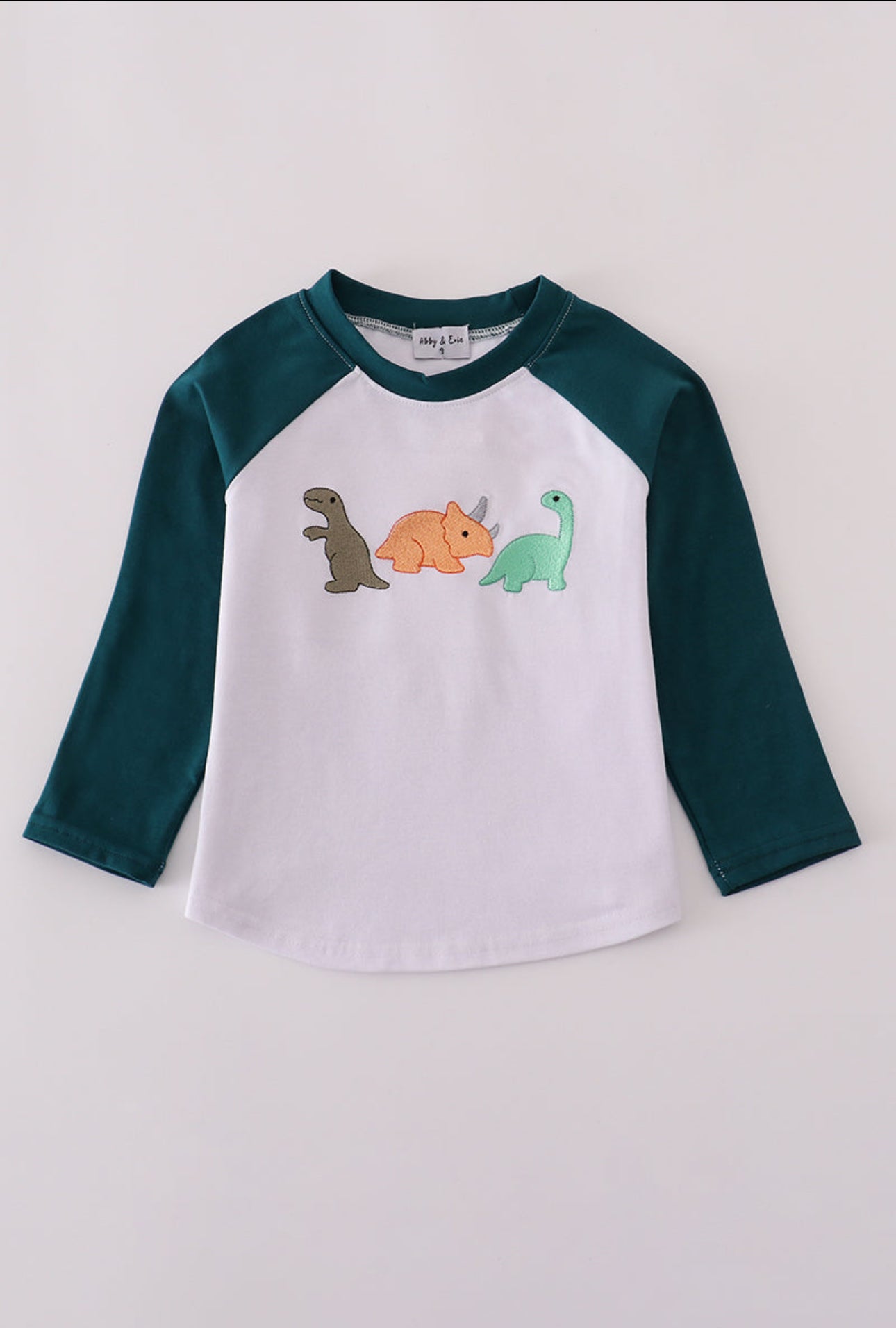 Dinosaur Embroidered Shirt