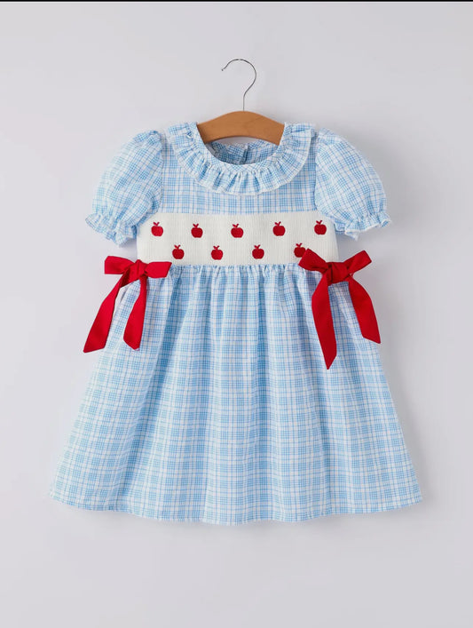 Blue Plaid Apple Embroidered Dress